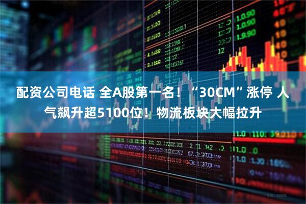 配资公司电话 全A股第一名！“30CM”涨停 人气飙升超5100位！物流板块大幅拉升